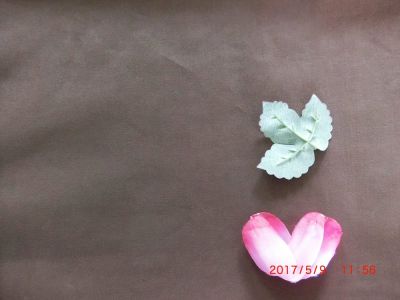 超級柔軟環(huán)保涂料染